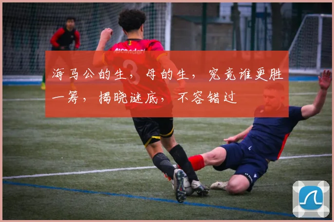 海马公的生，母的生，究竟谁更胜一筹，揭晓谜底，不容错过